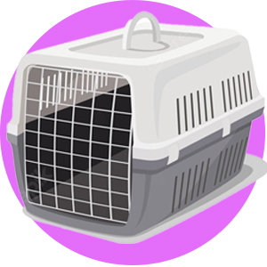 icon باکس حمل سگ سطر 6 1 jpg