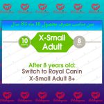 غذای سگ های کوچک ( مینیاتوری ) خشک - تصویر 2