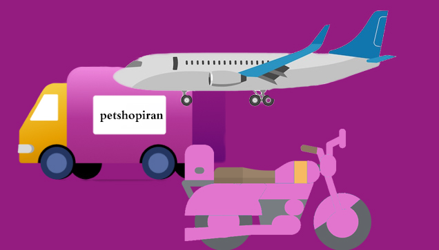 عکس دلیور ok 3