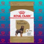 غذای سگ بزرگسالان روتوایلر ( خشک )