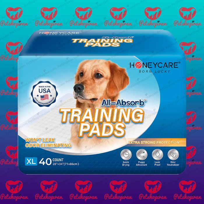 PAD HONEY CARE 7 صفحه اصل