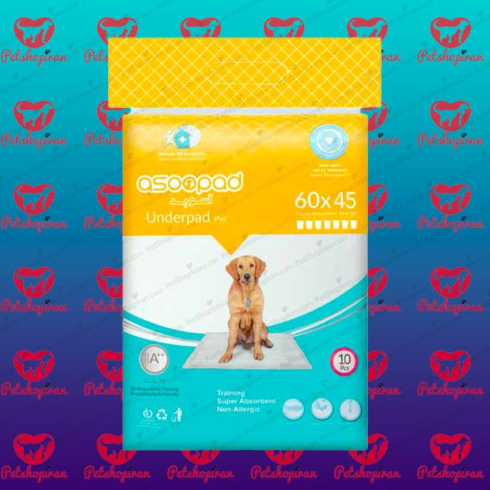 PAD asoopad صفحه اصلی 45در60
