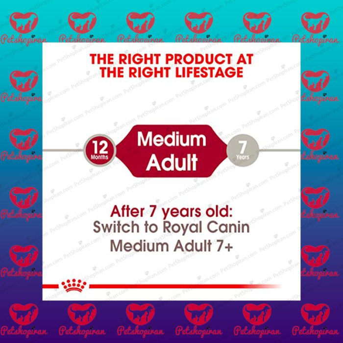 Royal Canin Medium Adult 15 kg 2 صفحه اصلی