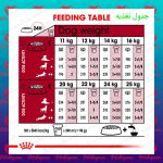 غذای خشک سگ (رویال کنین متوسط بزرگسال ) - تصویر 2