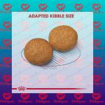 غذای خشک سگ (رویال کنین متوسط بزرگسال ) - تصویر 4