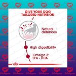 غذای خشک سگ (رویال کنین متوسط بزرگسال ) - تصویر 5