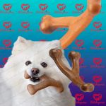 اسباب بازی سگ ( Benebone )