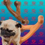 اسباب بازی سگ ( Benebone ) - تصویر 2