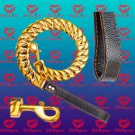 قلاده سگ طرح طلایی