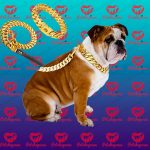 قلاده سگ طرح طلایی - تصویر 3