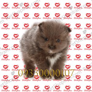 pomer seri 3 95 093300