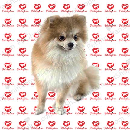 کاشت ناخن 100 درصد تضمینی